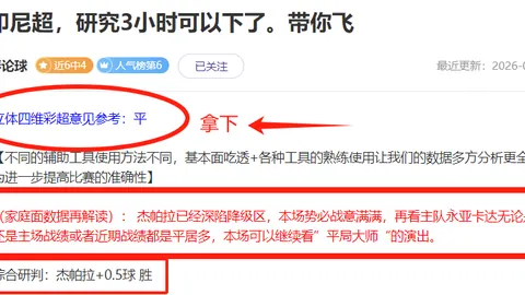 澳维甲今日全面分析：专家推荐大乐透期号策略